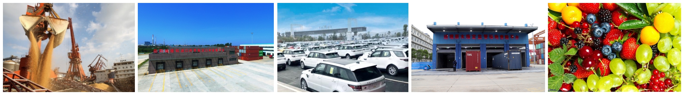 1681874259246585.jpg 未224242.jpg